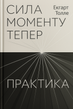Сила моменту тепер. Практика, Екгарт Толле
