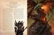 World of Warcraft: The Dragonflight Codex. Sandra Rosner