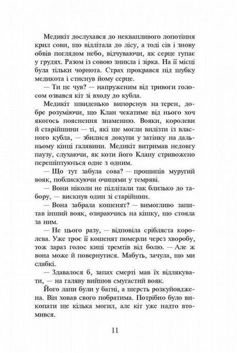 Коти-вояки. Пророцтва починаються. Книга 4. Здіймається буря, Ерін Гантер