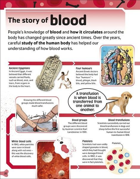 The Body Book, Bipasha Choudhury