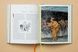 Greek Myths - 6