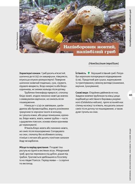 Як і де збирати гриби, Микола Придюк