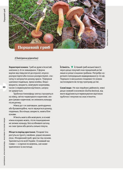Як і де збирати гриби, Микола Придюк