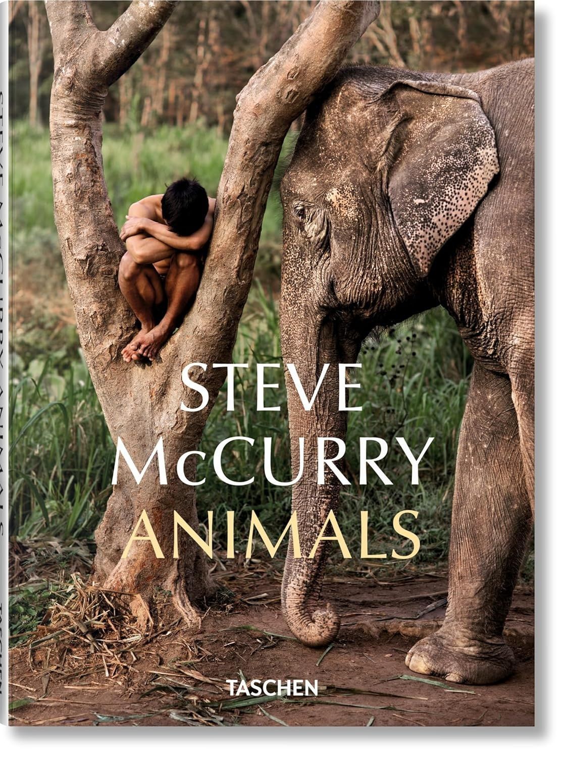Обкладинка Steve McCurry. Animals