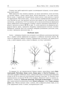 Сад - танці без бубна