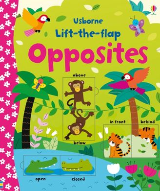 Lift-the-Flap: Opposites, Melisande Luthringer