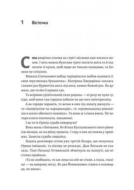 Оринин. Роман про стелепного чоловіка, Сашко Столовий