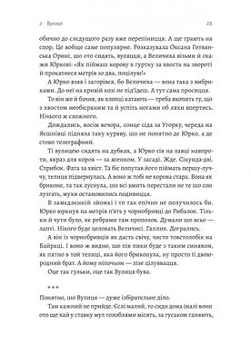 Оринин. Роман про стелепного чоловіка, Сашко Столовий