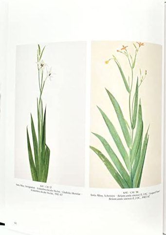 Flowers! In the Art of the 20th and 21st Centuries. Regina Selter