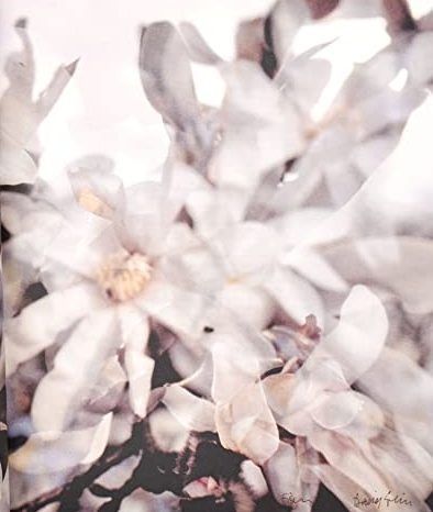 Flowers! In the Art of the 20th and 21st Centuries. Regina Selter