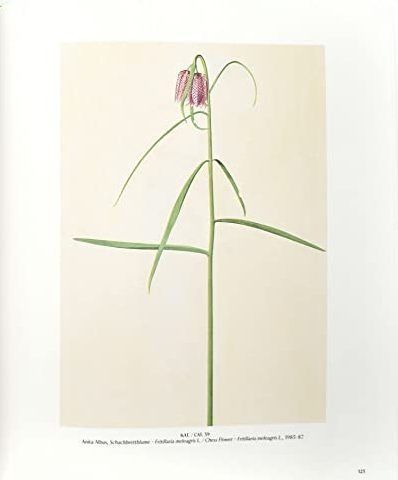 Flowers! In the Art of the 20th and 21st Centuries. Regina Selter