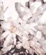 Flowers! In the Art of the 20th and 21st Centuries. Regina Selter