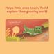 Baby Alligator: Finger Puppet Book - 4