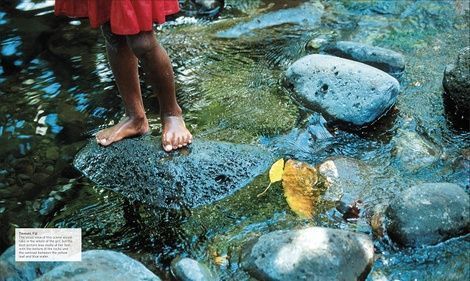 Photography. The Ultimate Guide. Tom Ang