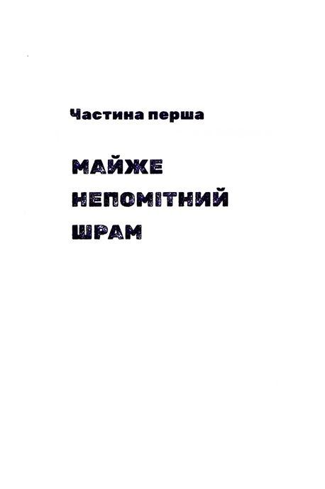 Безбратня ніч, В.В. Ганешанантан