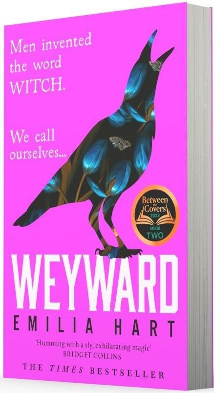 Обкладинка Weyward