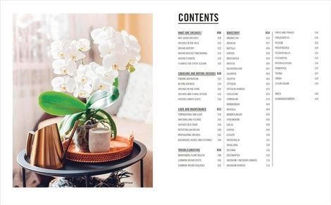 Grow Orchids. Andrew Mikolajski