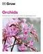 Grow Orchids. Andrew Mikolajski