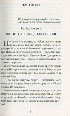 Пригоди тричі славного розбійника Пинті, Олександр Гаврош