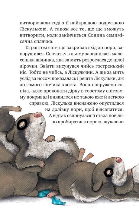 Маленька Соня в лісі різдвяних історій, Забіне Больман