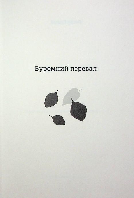 Буремний перевал, Емілі Бронте