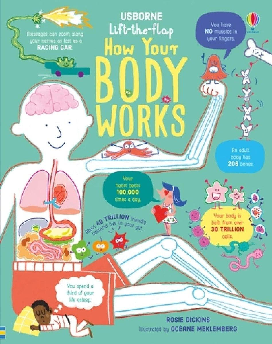 Обкладинка Lift-the-Flap: How Your Body Works