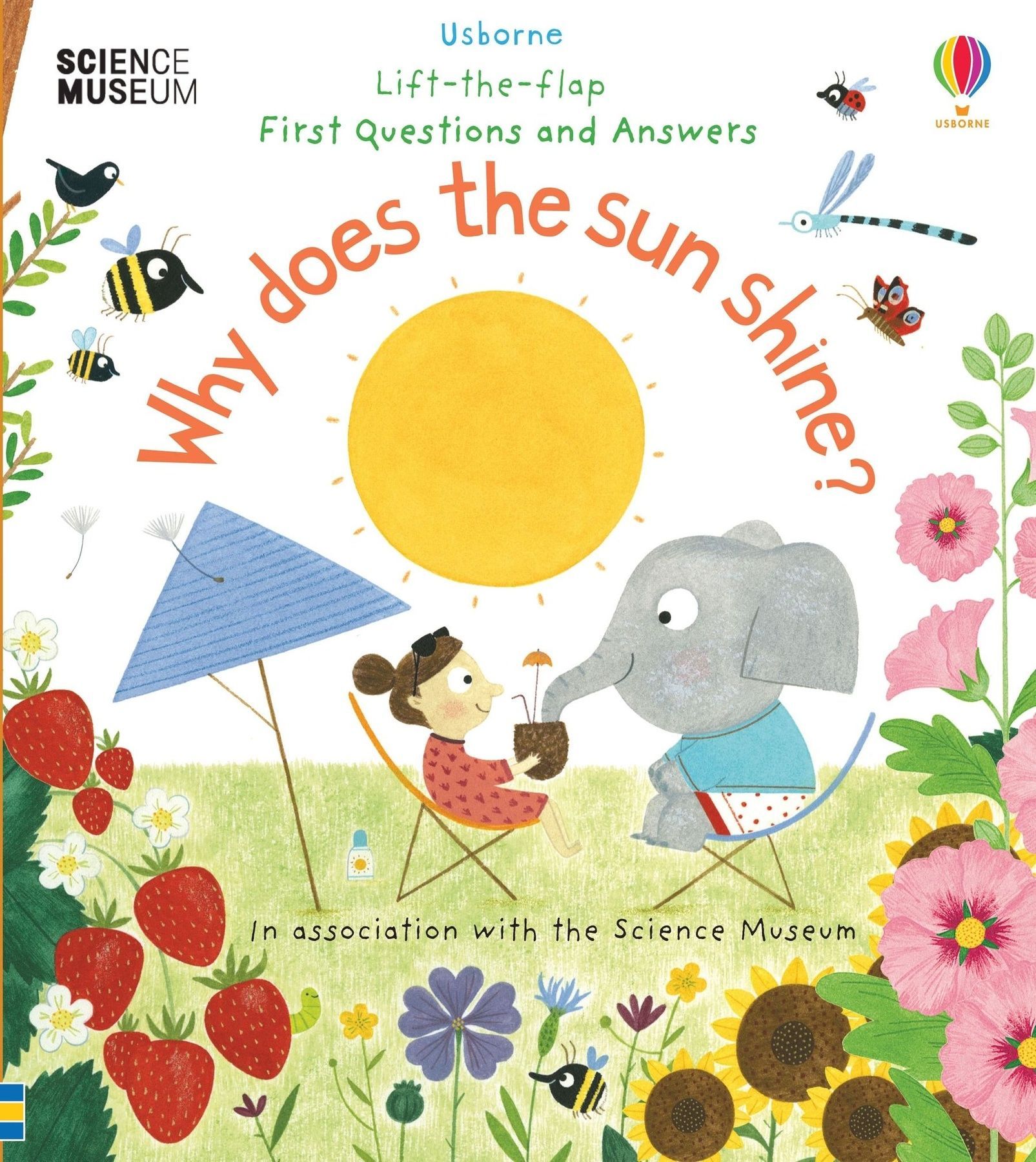 Обкладинка Lift-the-Flap First Questions & Answers: Why Does the Sun Shine?