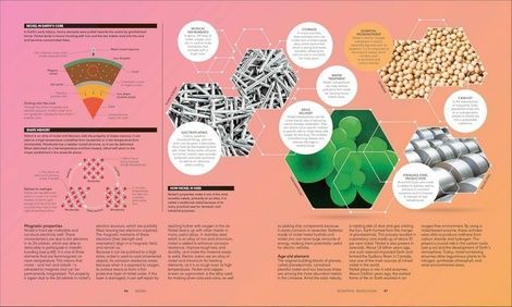 The Periodic Table: From Alchemy to the Nuclear Age. Paddy Barrett