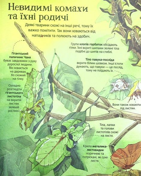 Велика книга комах і не тільки, Емілі Боун