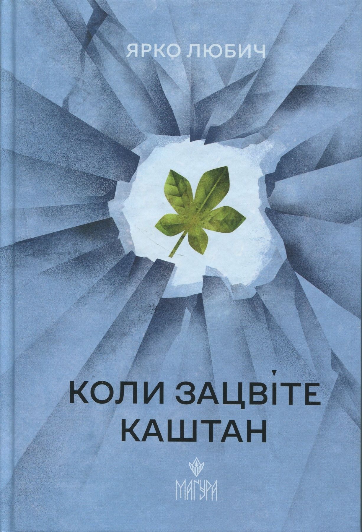 Обкладинка Коли зацвіте каштан