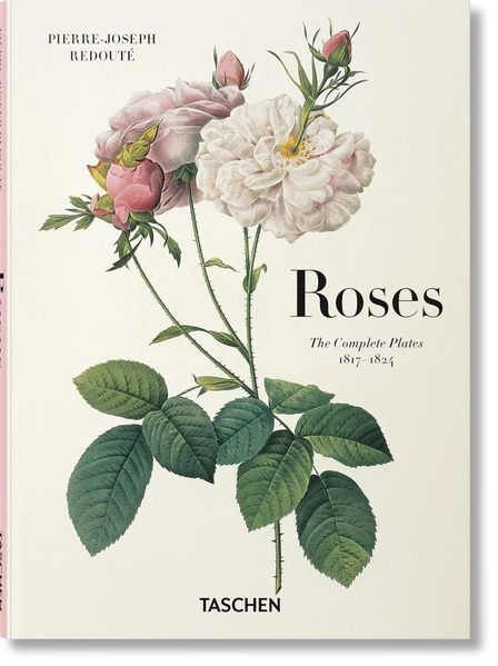 Redout&eacute;, Roses, H. Walter Lack