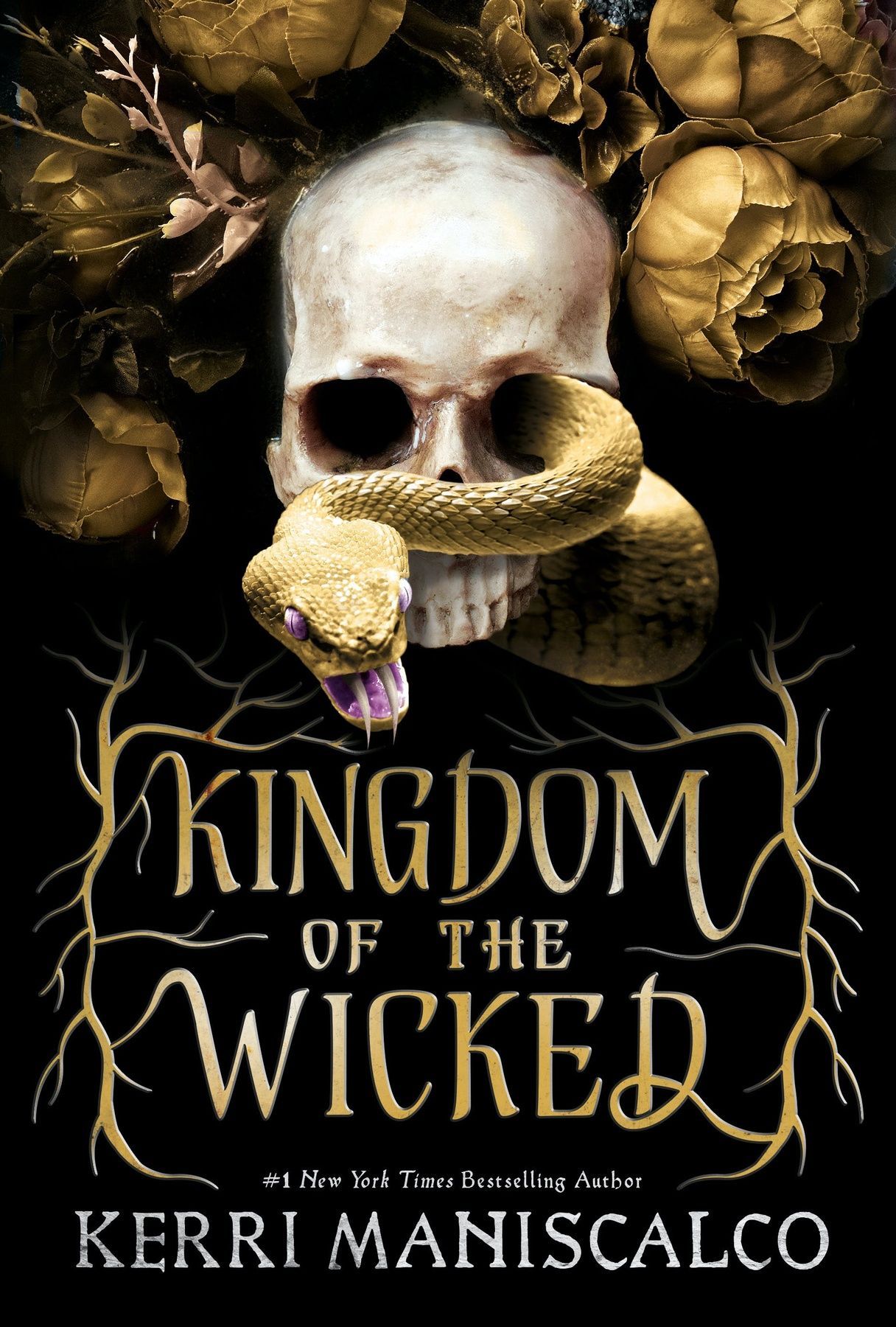 Обкладинка Kingdom of the Wicked. Book 1