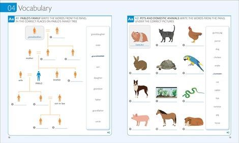 English for Everyone 1 Beginner Practice Book: A Complete Self-Study Programme. DK