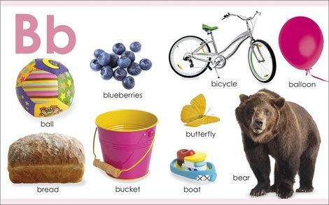 Board Book: ABC,