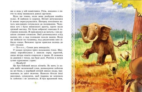 Африка Казика, Лукаш Вєжбицький