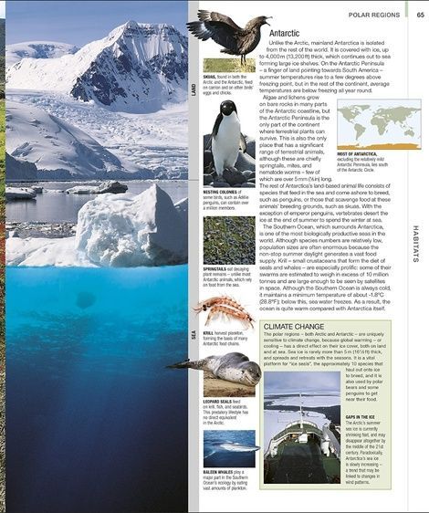 Animal. The Definitive Visual Guide