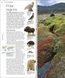 Animal. The Definitive Visual Guide