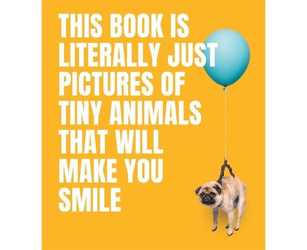 This Book Is Literally Just Pictures of Tiny Animals That Will Make You Smile,