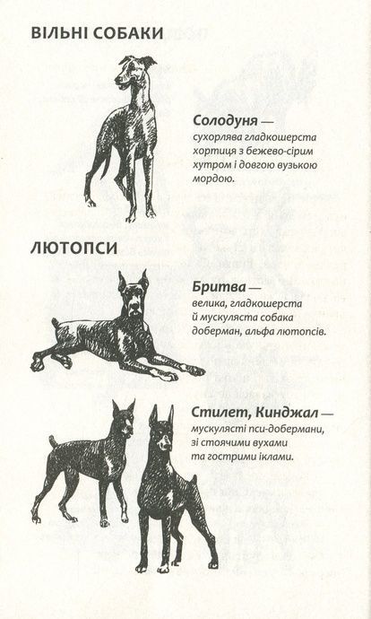 Зграя. Книга 1. Спорожніле місто, Ерін Гантер