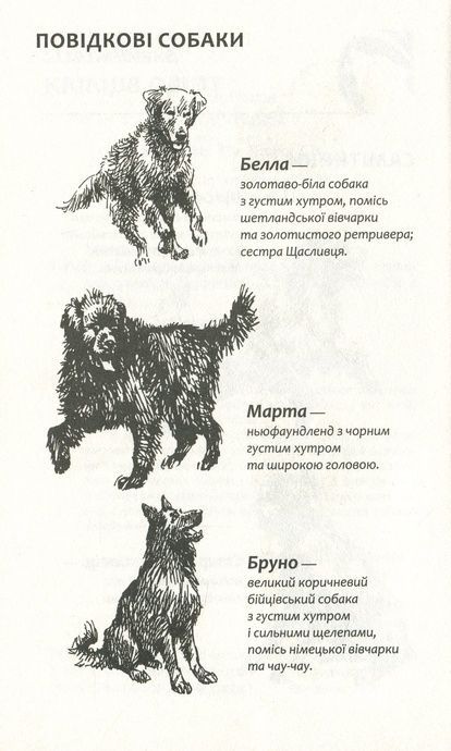 Зграя. Книга 1. Спорожніле місто, Ерін Гантер