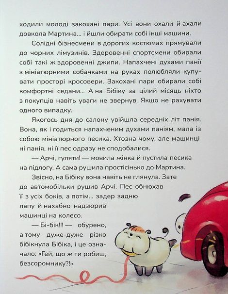 Бібіка на прізвисько Комашка, Сашко Дерманський