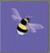 Collect the rainbow. Insects - 9