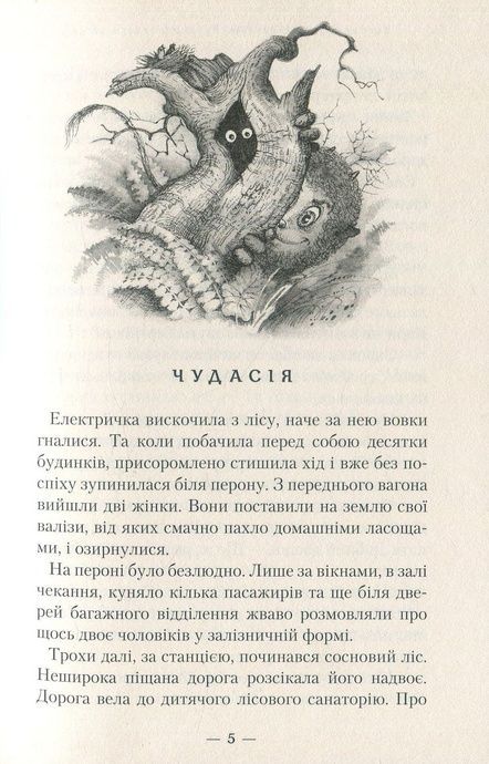 Бухтик з тихого затону, Володимир Рутківський