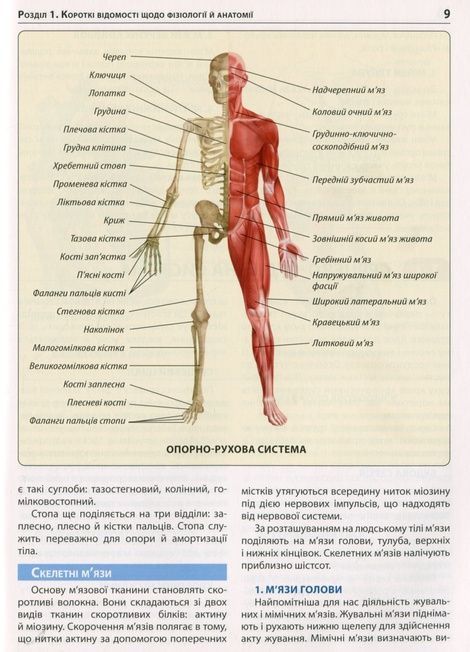 Екстрена допомога в разі ДТП. Посібник з порятунку,