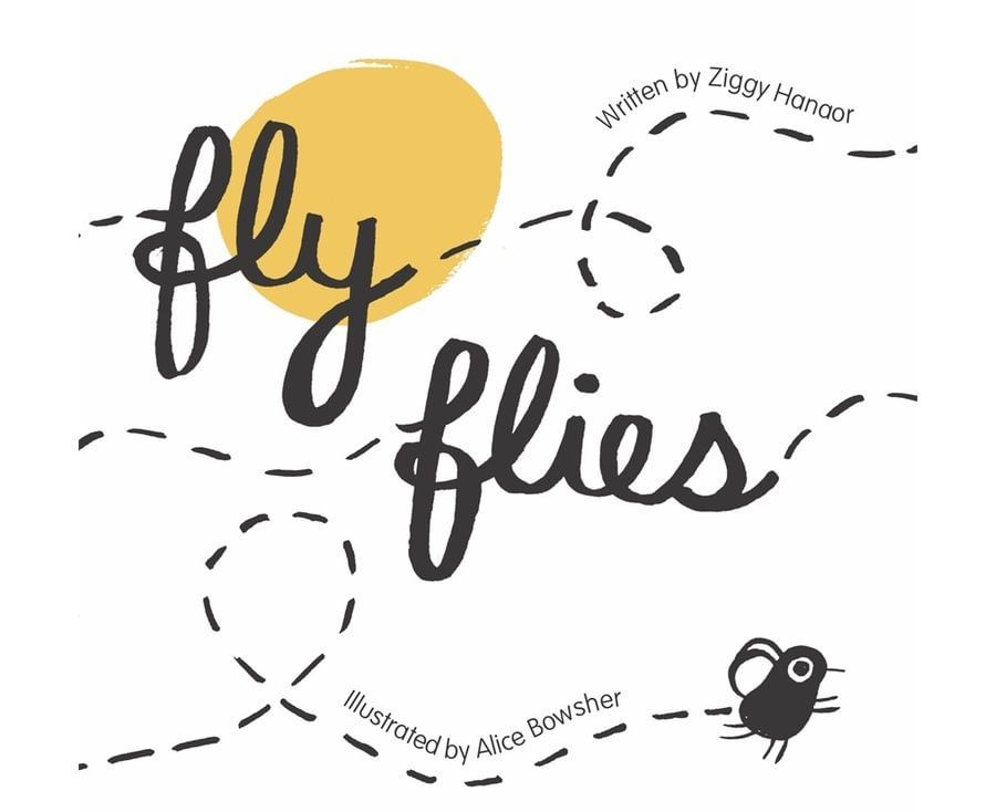 Fly Flies