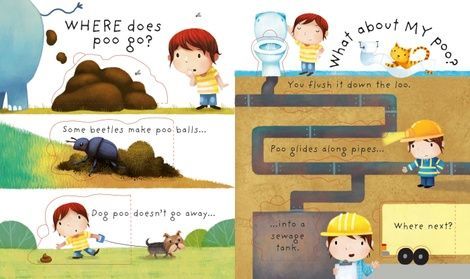 Very First Questions and Answers What is poo?, Katie Daynes