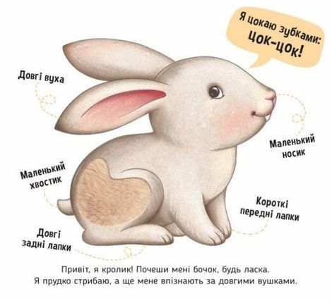 Познайомся і погладь : На фермі, Ірина Горянська