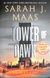Throne of Glass: Tower of Dawn - 1