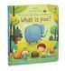 Very First Questions and Answers What is poo? - 5