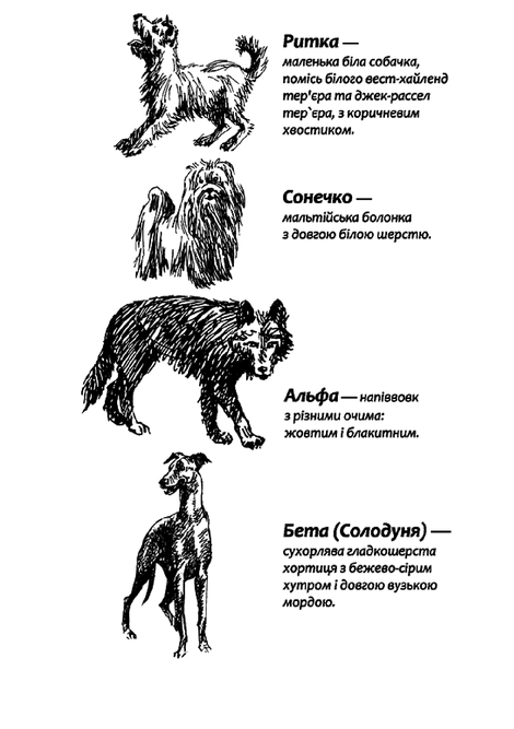 Зграя. Книга 4. Перерваний шлях, Ерін Гантер